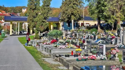 Foto: Nikica Puhalo/MojPortal.hr