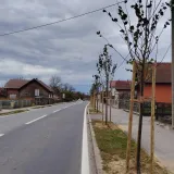 Foto: Slavica Trgovac Martan