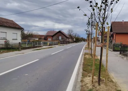 Nova stabla stigla su i u Veliko Korenovo/Foto: Slavica Trgovac Martan