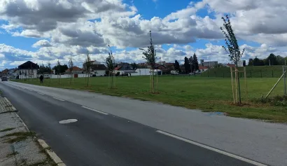 Stabla su posađena na više lokalcija/Foto: Grad Bjelovar