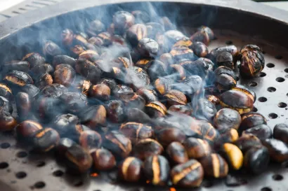 Ulični kesteni/Foto: Darko Tomaš/CROPIX