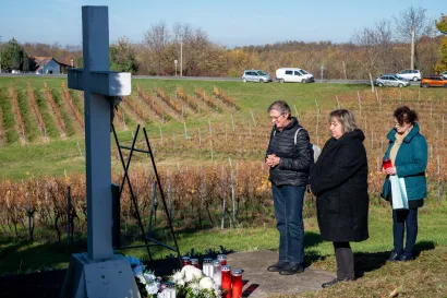 Foto: Predrag Uskoković/Grad Daruvar