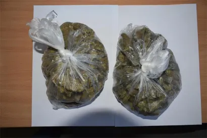 Marihuana/Foto: PU bjelovarsko-bilogorska