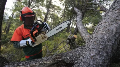 Foto: Ivo Ravlic/CROPIX