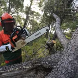 Foto: Ivo Ravlic/CROPIX