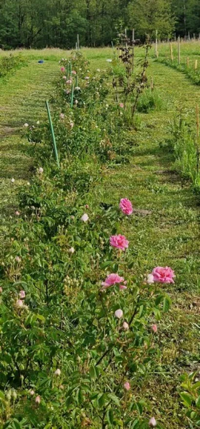 Foto: Privatni album