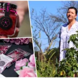 Foto: Privatni album, Compas