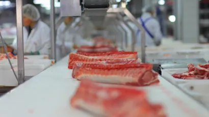 Foto: Mario Romulic, Drazen Stojcic/CROPIX