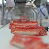 Foto: Mario Romulic, Drazen Stojcic/CROPIX