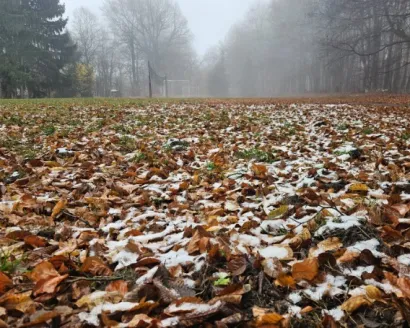 Idilični prizori iz Slavonije/Foto: PD Psunj