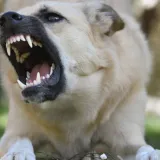 Foto: Pexels (Ilustracija)