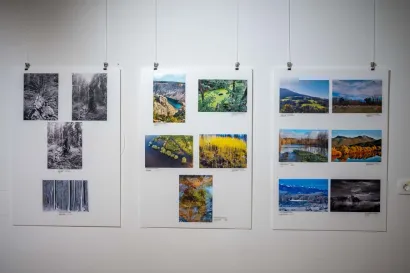 Foto: Predrag Uskoković