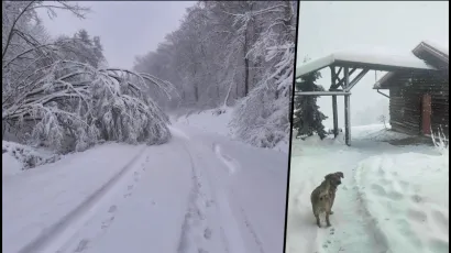 Foto: Dalija Čuljat Nagy, čitatelj