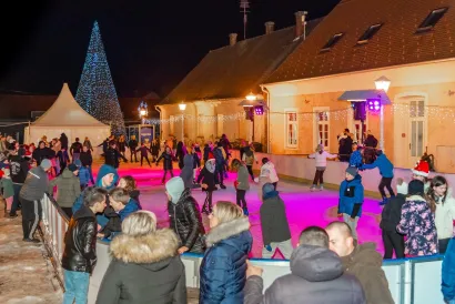 Prvih tjedan dana klizanje je besplatno za sve/ Foto: D. Kirin