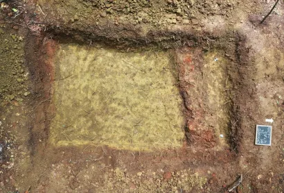 Istraživanjem na utvrdi Velika gradina u naselju Omanovac, utvrđeno je postojanje zemljanog, šibljem pojačanog, fortifikacijskog zida koji prati obrambene opkope na terenu/Foto: Krešimir Vacek
