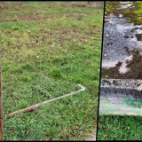 Foto: Pakrački list