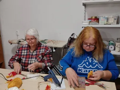 Ždralice nikada ne miruju/Foto: Ždralice Daruvar