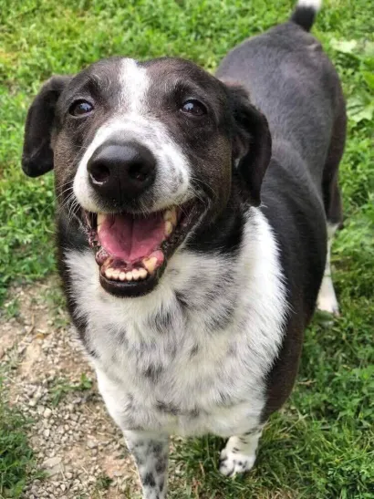 Foto: Udruga Vau Vau