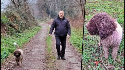 Vlasnik Saša Premec pronašao je zaljubljenog Tedija u šumi i vratio ga kući/Foto: Privatrni album