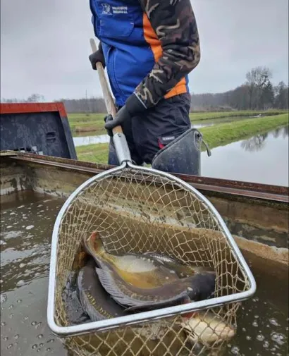 Foto: Ribnjačarstvo Končanica