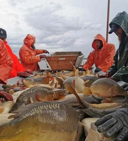 Foto: Ribnjačarstvo Končanica