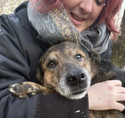 Foto: Szaszi Radone/Facebook