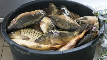 Foto: Vlado Kos/Cropix (Ilustracija)