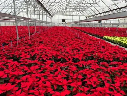 Foto: Privatni album