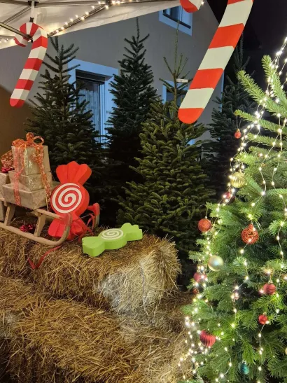 Foto: Privatni album