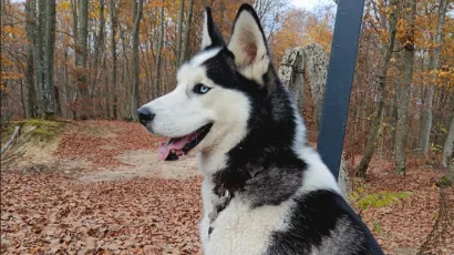 Foto: Privatni album