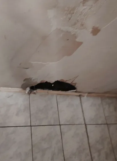 Od vode sve propada/Foto: Privatni album