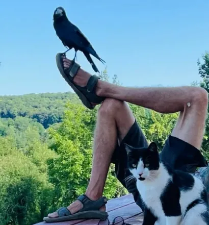 Vrana je spa&scaron;ena s pruge, nije mogla letjeti/Foto: Privatni album