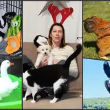 Foto: Privatni album