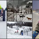 Foto: Čitatelji, Mario Crnković