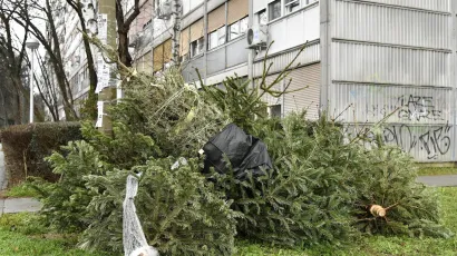 Foto: Damir Krajac/CROPIX 