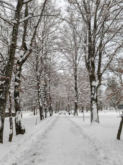 Julijev park/Foto: Daruvarske toplice