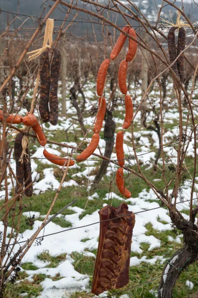 Foto: Predrag Uskoković/Grad Daruvar