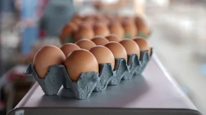 Foto: Berislava Picek/CROPIX