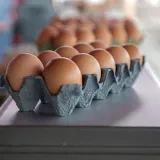 Foto: Berislava Picek/CROPIX