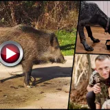 Foto: Privatni album