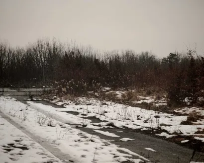 Komunalac bi uskoro trebao krenuti s či&scaron;ćenjem parcele/Foto: Martina Čapo