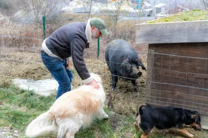Životinjsko carstvo u grubi&scaron;nopoljskoj Elektrani/Foto: &Scaron;tefan Brajković