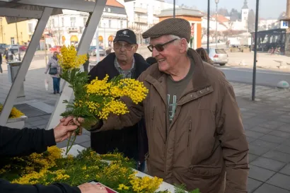 Cvijeće je ''planulo''/Foto: Predrag Uskoković