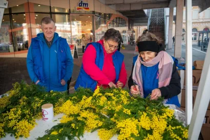Foto: Predrag Uskoković