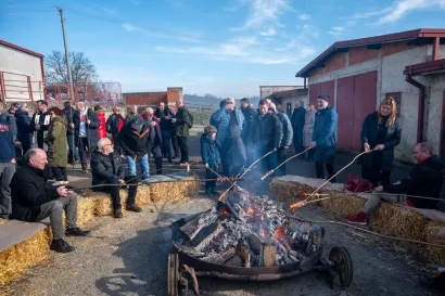 Foto: Predrag Uskoković