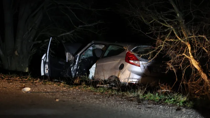 Foto: Bozidar Vukicevic/CROPIX (Ilustracija)