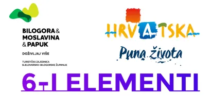 Poktrovitelji projekta "6-i Elementi"