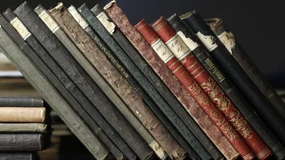 Foto: Damjan Tadic/CROPIX                                                                       