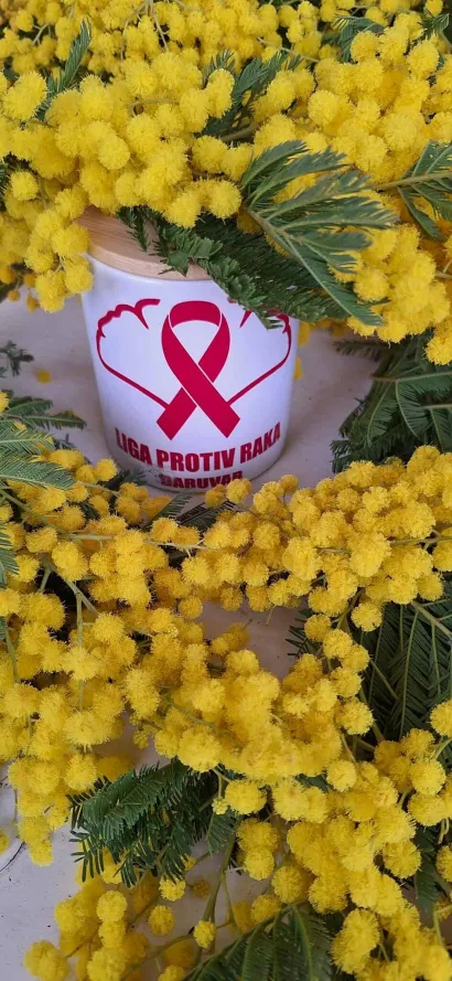 Foto: Liga protiv raka Daruvar