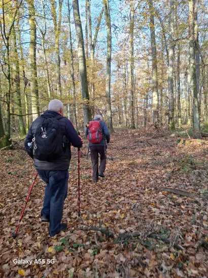 Foto: Ankica Kotar&scaron;čak